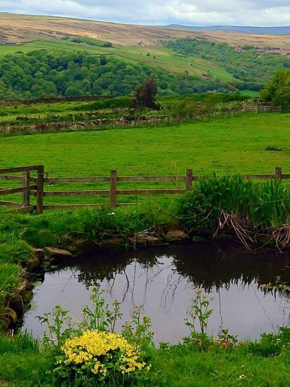 Far Moorside Farm B&B Hebden Bridge Esterno foto